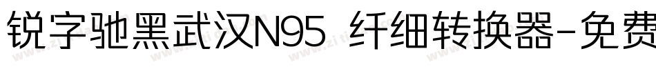 锐字驰黑武汉N95 纤细转换器字体转换